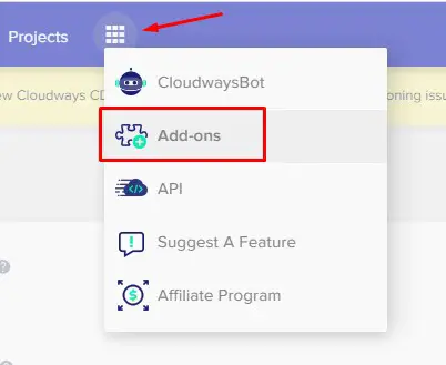 Cloudways Add-ons